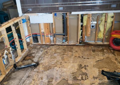 Cabinet Damage and Restoration